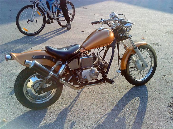 Regal raptor (byttet) billede 8