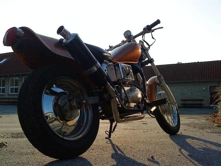 Regal raptor (byttet) billede 9