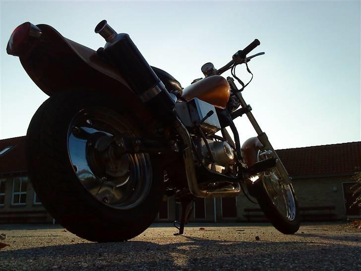 Regal raptor (byttet) billede 10