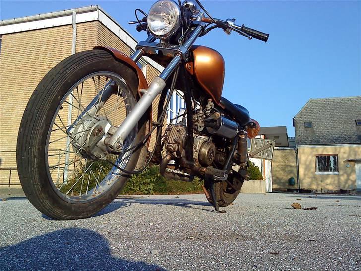 Regal raptor (byttet) billede 11