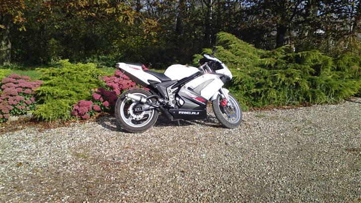 Rieju RS2 Matrix billede 4