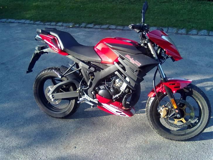 Malaguti Drakon NKD ducati corse billede 1