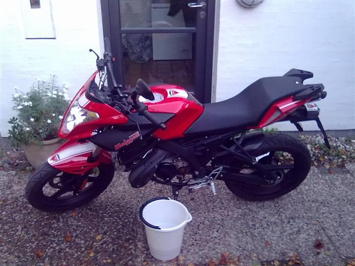 Malaguti Drakon NKD ducati corse billede 4