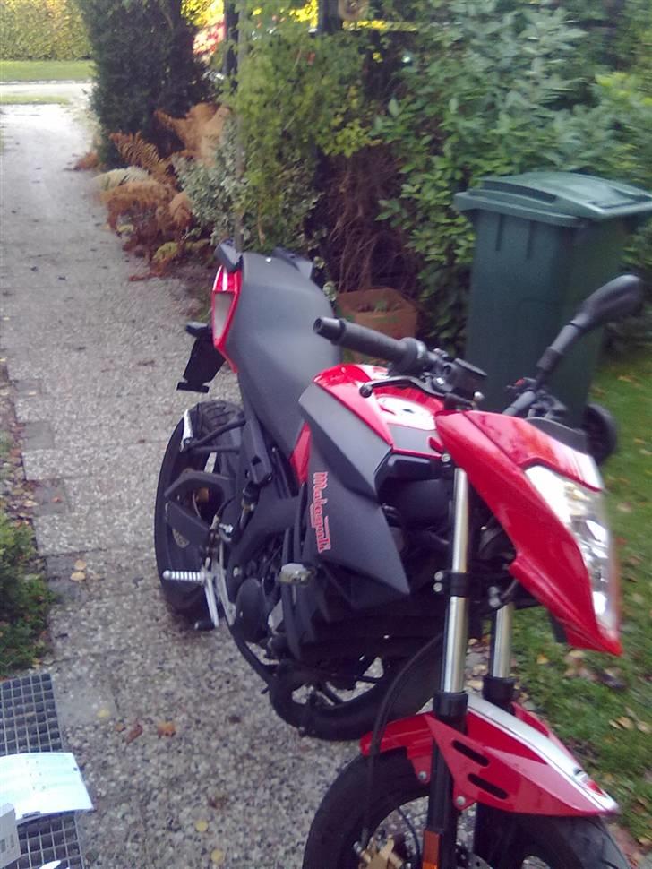 Malaguti Drakon NKD ducati corse billede 5