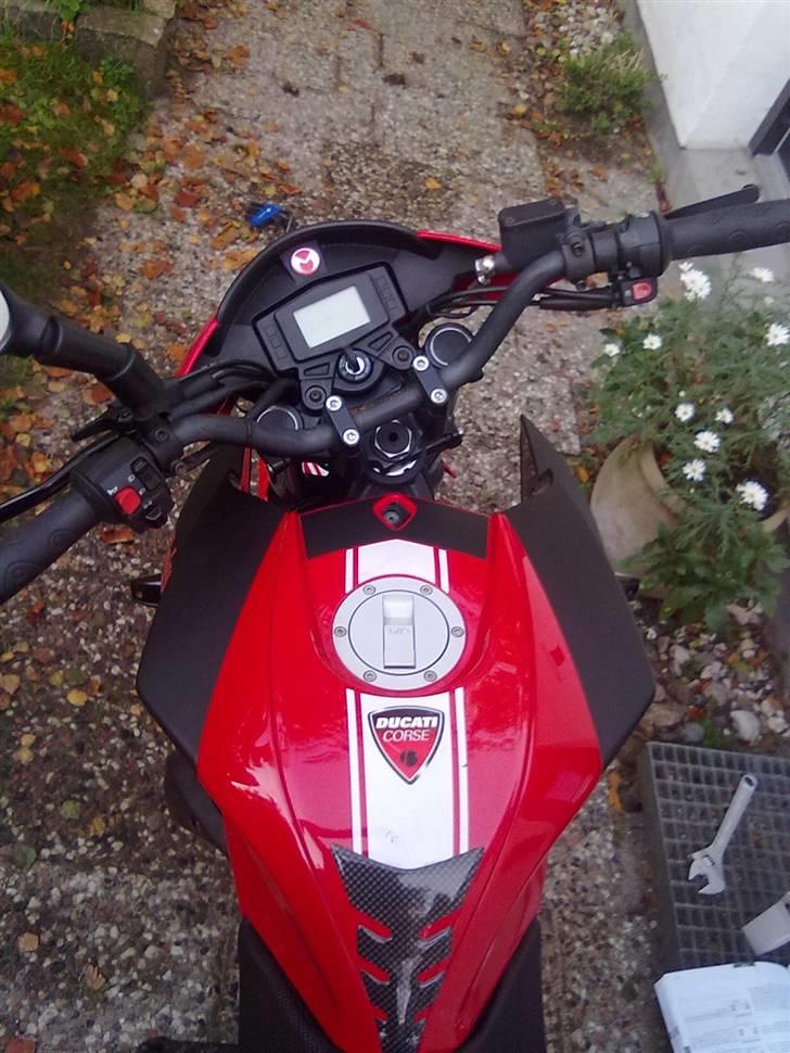 Malaguti Drakon NKD ducati corse billede 6