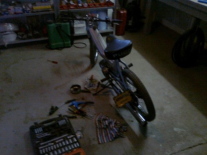 Puch Maxi K {saelges} billede 4