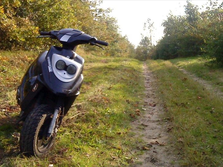 PGO Hot 50 (SMIDT UD) billede 2