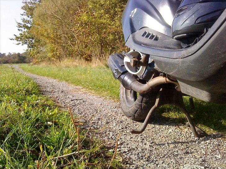 PGO Hot 50 (SMIDT UD) billede 10