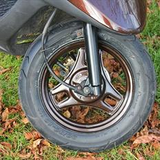 PGO Comet Brownie SOLGT 