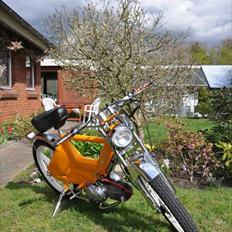 Puch Appelsinen. SOLGT! 