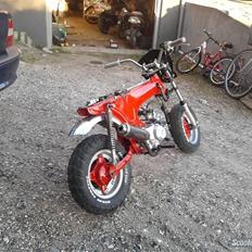 Honda Dax Slogt