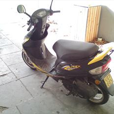 Giantco Sprint Sport