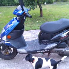 PGO DR. Big *Bytted til Puch*