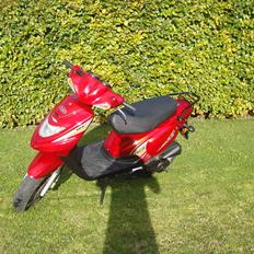 TGB Pegasus DEN ER TIL SALG 2000KR