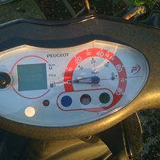 Peugeot vivacity (SOLGT)