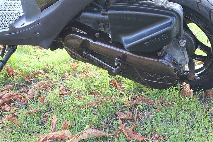 PGO Comet Brownie SOLGT  billede 5