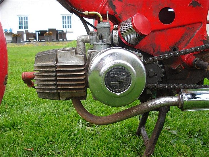 Puch maxi FØR!! billede 6