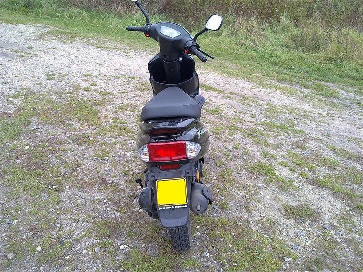 Giantco G-Buddy billede 5