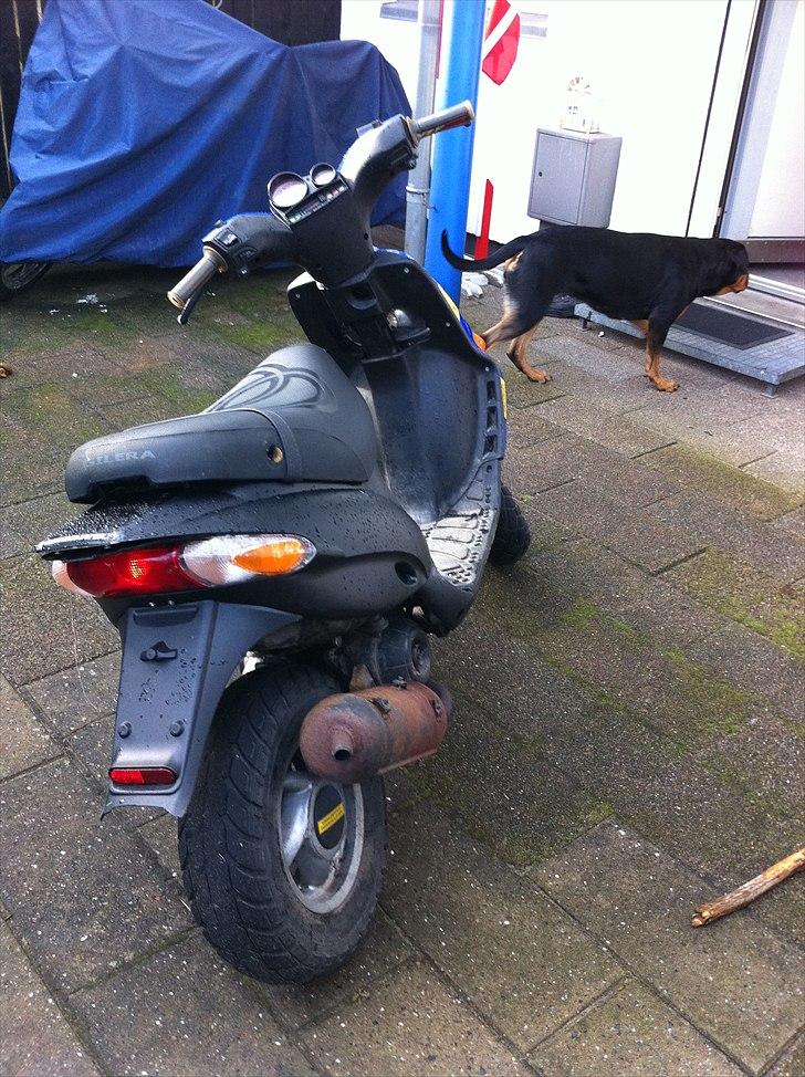 Gilera Stalker  [SOLGT] billede 7