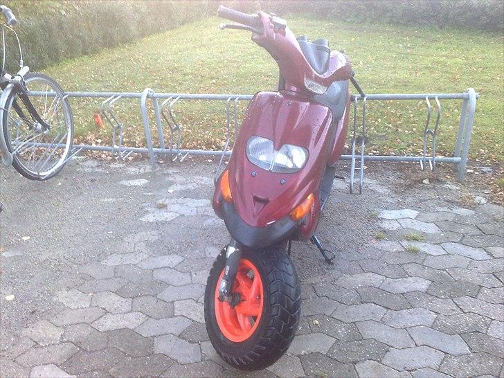 Gilera stalker afleveret tilbage billede 3