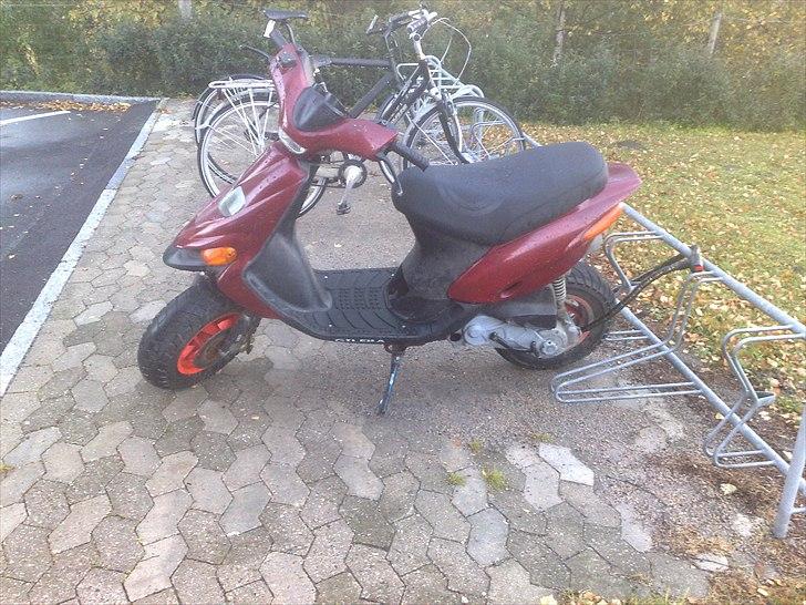 Gilera stalker afleveret tilbage billede 4