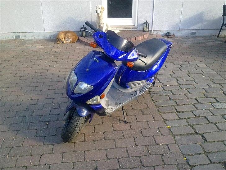 PGO dr.big (byttet) billede 2