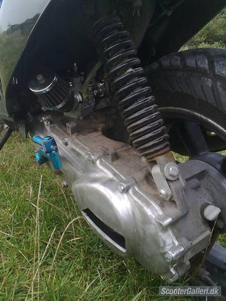 PGO Hot 50 billede 4