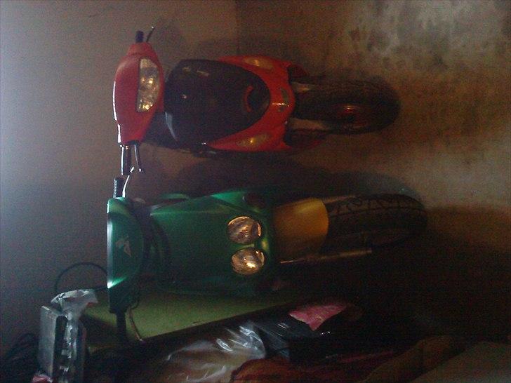 Pexma KD 50 ( solgt ) - sammen med neosen inde i varmen :D billede 9