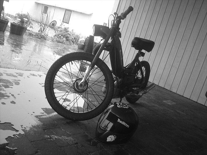 Puch Maxi k DS billede 6