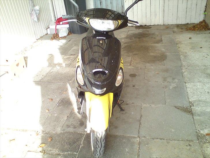 Giantco Sprint Sport billede 4