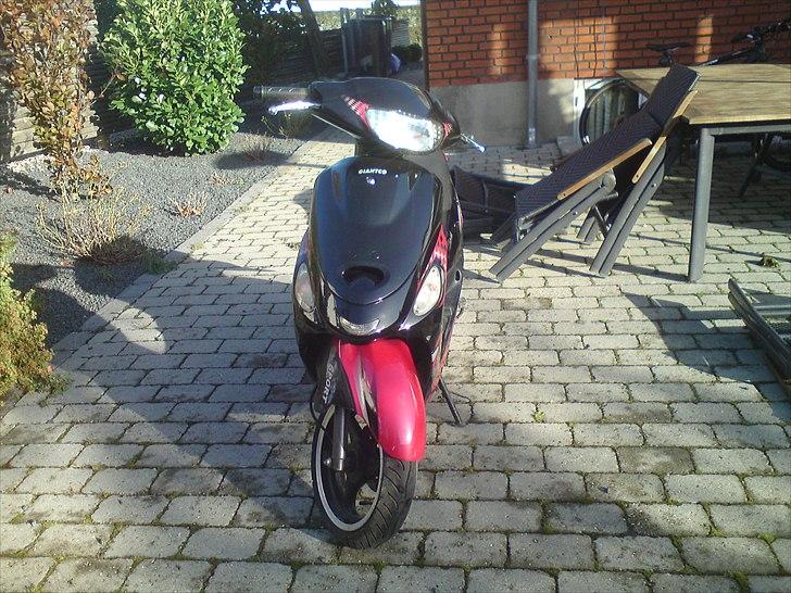 Giantco Sprint Sport billede 4