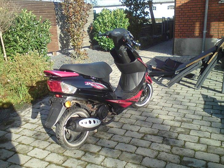 Giantco Sprint Sport billede 6