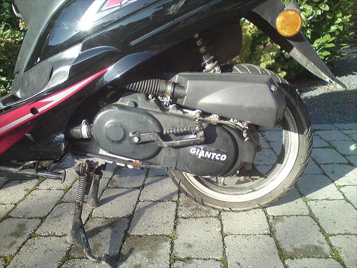 Giantco Sprint Sport billede 12