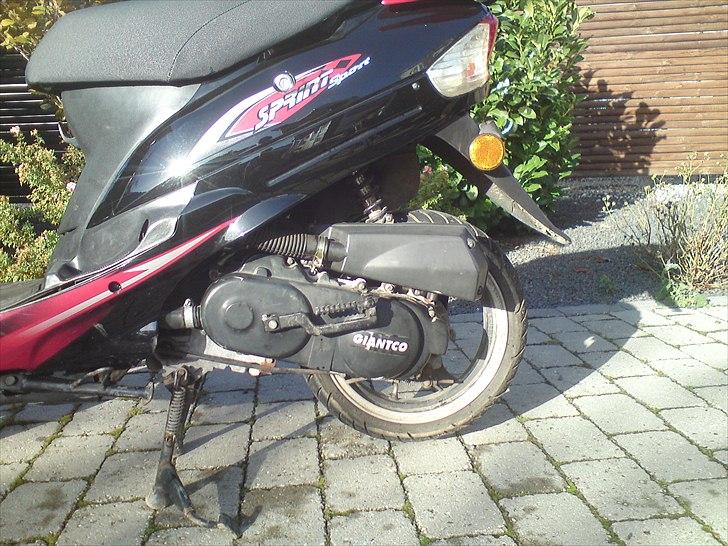 Giantco Sprint Sport billede 13