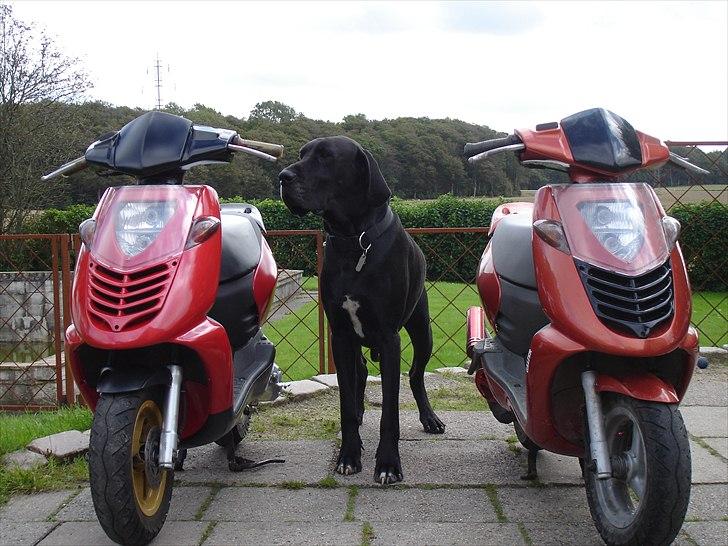 Aprilia Sonic Gp ( Solgt ) - Vagthunden i midten ;b billede 8