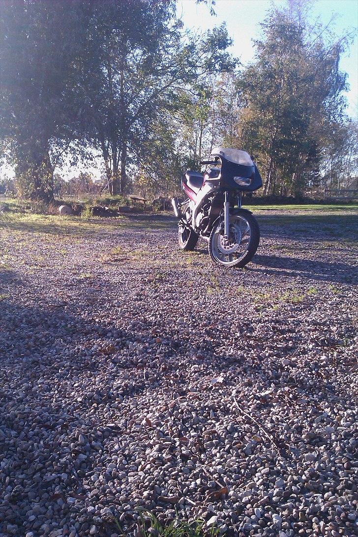 Yamaha TZR  byttet til sonic  billede 1