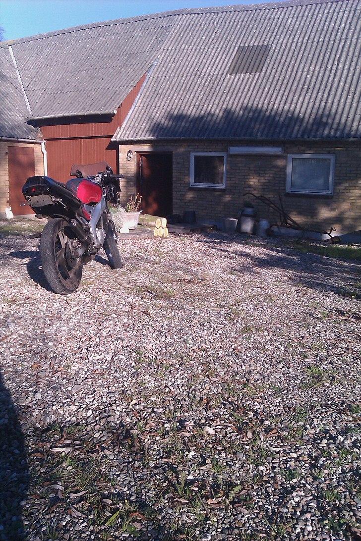 Yamaha TZR  byttet til sonic  billede 4