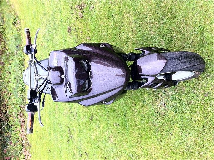 PGO Hot 50 [TIL SALG] 8000 ,- billede 2