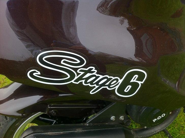 PGO Hot 50 [TIL SALG] 8000 ,- billede 9