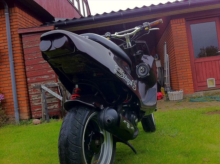 PGO Hot 50 [TIL SALG] 8000 ,- billede 13