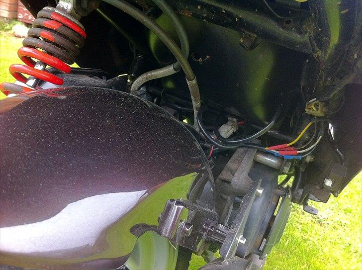 PGO Hot 50 [TIL SALG] 8000 ,- billede 14