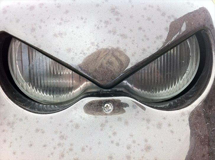 PGO Hot 50 [TIL SALG] 8000 ,- billede 17