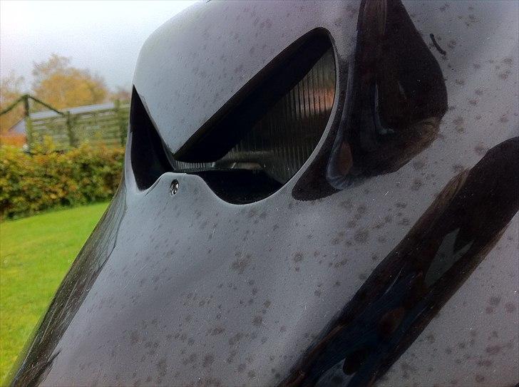 PGO Hot 50 [TIL SALG] 8000 ,- billede 18