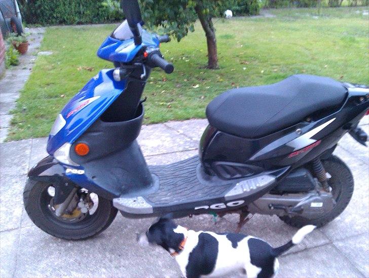 PGO DR. Big *Bytted til Puch* billede 1