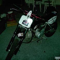 MiniBike 110 CC *SOLGT*