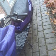 Adly sliverfox solgt