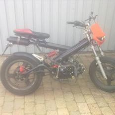 Sachs Madass