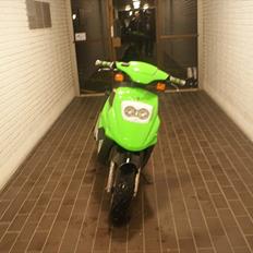 PGO Big max