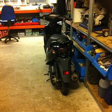 PGO blackmagic SOLGT