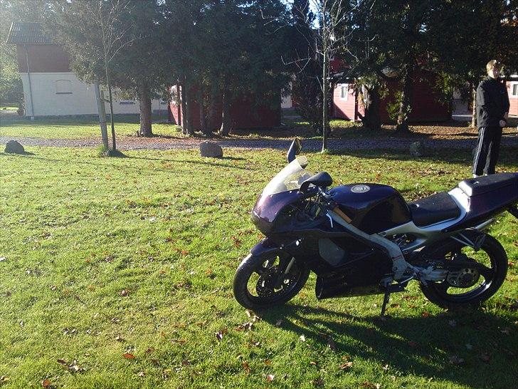 Aprilia RS 50 LC DD 80cc TS billede 5